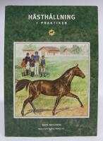 H&auml;sth&aring;llning i praktiken