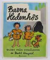 Barna Hedenh&ouml;s - Bilder fr&aring;n sten&aring;ldern
