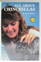 All about Chinchillas