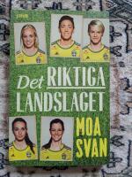 Det riktiga landslaget