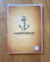 Cancer to Capricorn: The path of the modern gypsy