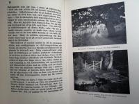 Vinden v&auml;nde bladen