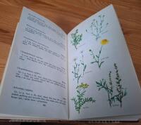 SVENSKA V&Auml;XTER I TEXT OCH BILD