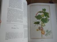 The Duchess of Beaufort's Flowers