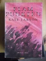 Flampunkten : roman