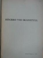 H&ouml;gbro vid Skanstull
