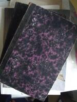 Ett &aring;r i Sverige 