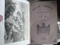 Ett &aring;r i Sverige 