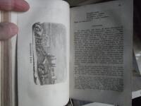 Ett &aring;r i Sverige 