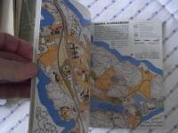 Str&ouml;vt&aring;g i Stora Skuggans flora