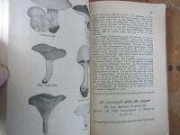 Hemmets Varukalender. Ekonomisk hj&auml;lpreda och Praktisk uppslagsbok f&ouml;r Husm&ouml;drar