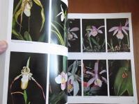 Orchideenatlas. Die Kulturorchideen Lexikon der wichtigsten Gattungen und Arten