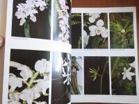 Orchideenatlas. Die Kulturorchideen Lexikon der wichtigsten Gattungen und Arten