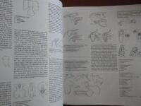 Orchideenatlas. Die Kulturorchideen Lexikon der wichtigsten Gattungen und Arten