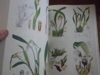 Orchids from Curtis's Botanical Magazine