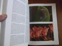 Encyclopaedia of Cultivated Orchids