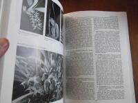 Encyclopaedia of Cultivated Orchids