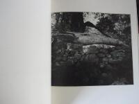 Vid ytan : dikt och bild fr&aring;n en &ouml;