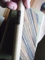 Ber&auml;ttelser fr&aring;n urskogen