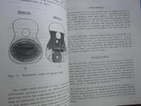 Function, construction and quality of the guitar : papers given at a seminar organized by the Committee for the acoustics of music [on November 14, 1981]