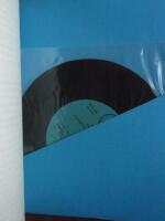 Function, construction and quality of the guitar : papers given at a seminar organized by the Committee for the acoustics of music [on November 14, 1981]