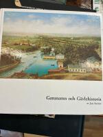 Gatunamn och G&auml;vlehistoria