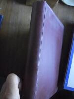 Anders Zorn som etsare