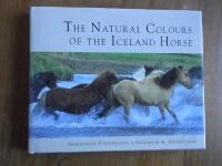 The Natural Colors of the Iceland Horse