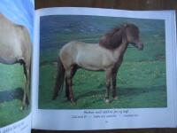 The Natural Colors of the Iceland Horse