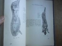 M&ouml;hl och Goldsmithts illustrerade handbok f&ouml;r finare Korv- och Charkuterivaror