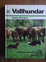 Vallhundar : [raser, arbetande vallhundar i Sverige, tr&auml;ning, vallhundsprov]