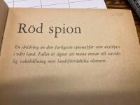 R&ouml;d spion