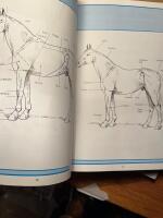 H&auml;stens exteri&ouml;r prestation och h&aring;llbarhet