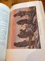 Gr&ouml;nl&auml;ndska myter och sagor