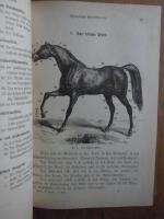 Pferd und Reiter oder die Reitkunst in ihrem ganzen Umfange. Nach rationeller, allein auf die Natur des Menschen, sowie des Pferdes gegr&uuml;ndeter, rasch und sicher zum Ziele f&uuml;hrender Methode. Theoretisch und praktisch erl&auml;utert.