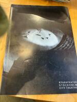 Stockholm sradsteater. Stockholm City Theatre