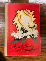 Mumintrollet p&aring; kometjakt