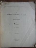 Om Trias-f&ouml;rsteningar fr&aring;n Spetsbergen