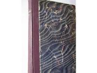 P&aring; obanade stigar. Jaktskizzer, sagor och noveller fr&aring;n Lappland