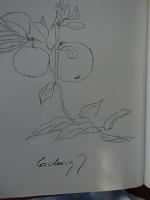 Minnen och tankar fr&aring;n ett liv med naturen