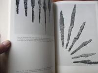 Ancient hunters and settlements in the mountains of Sweden