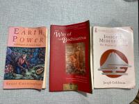 3x 1) The way of the Bodhisattva 2) Earth Power 3) Insight Meditation 