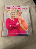 Stora tr&auml;ningsboken f&ouml;r gravida