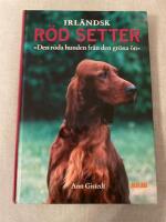 Irl&auml;ndsk r&ouml;d setter : ["den r&ouml;da hunden fr&aring;n den gr&ouml;na &ouml;n"]