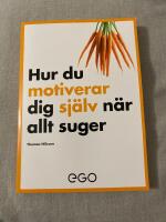 Hur du motiverar dig sj&auml;lv n&auml;r allt suger