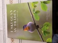 I Skuggan av tr&auml;den : liv i v&aring;ra vilda skogar