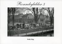 Ronnebybilder