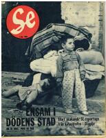Se Nr 31 1963