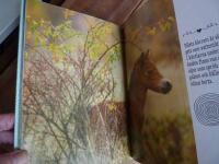 P&Aring; VINGLIGA BEN