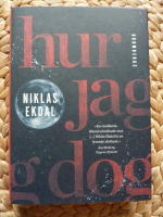 HUR JAG DOG -   OCH FICK KLART F&Ouml;R MIG HUR ALLT H&Auml;NGER IHOP